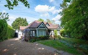 Pinewood Cottage Self Catering Apartments And Studio Apartments